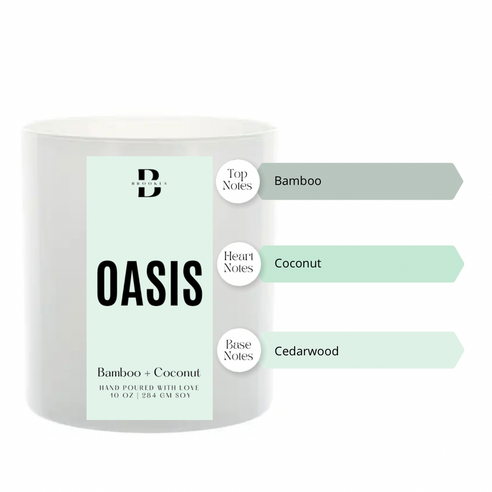 Oasis- Lake Shore Fundraiser